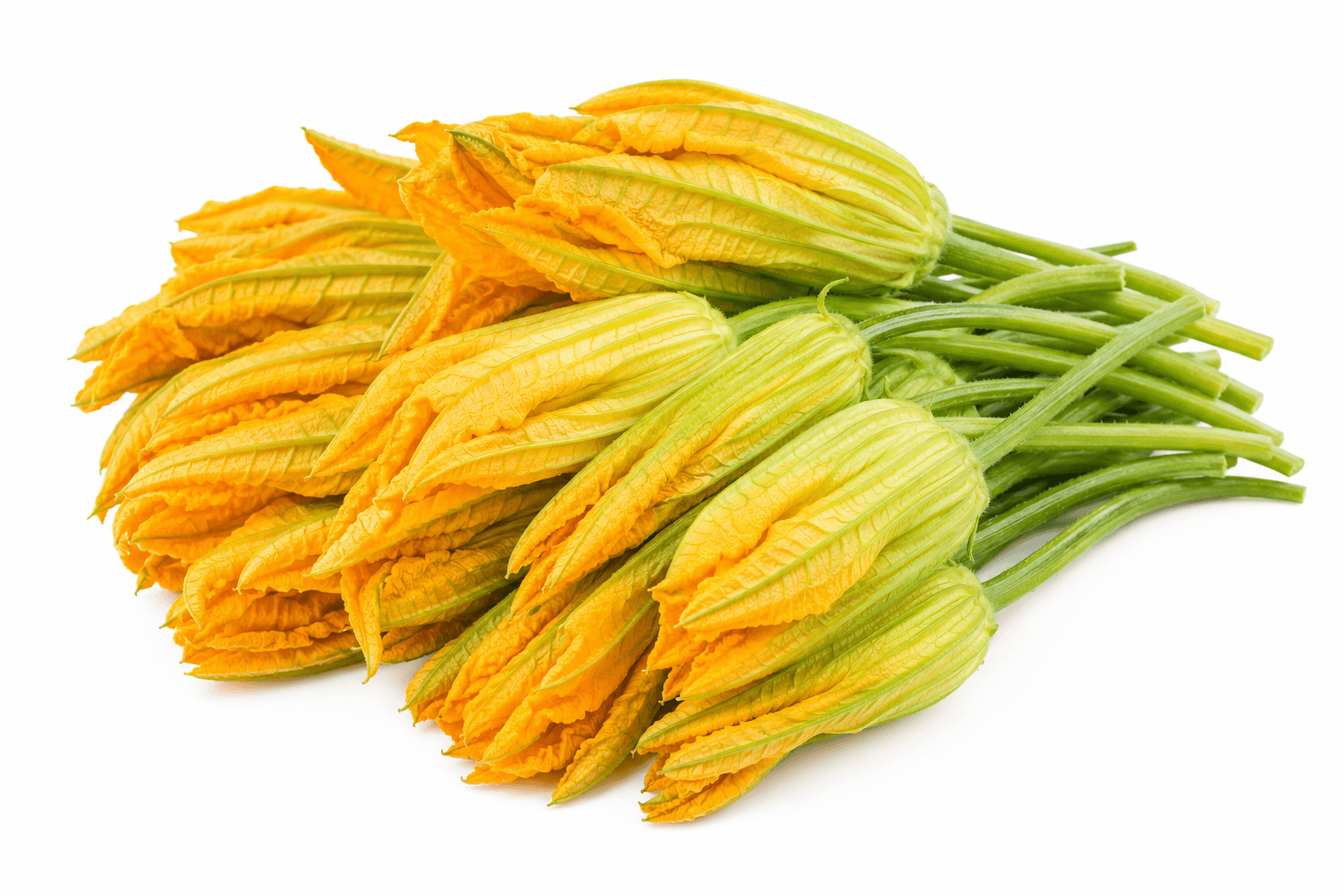 SQUASH BLOSSOMS